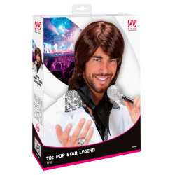 Paruka retro hnědá pánská Pop star